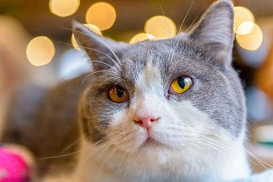 《星空》被TGA冷落 有人愤愤不平有人认为理所当然